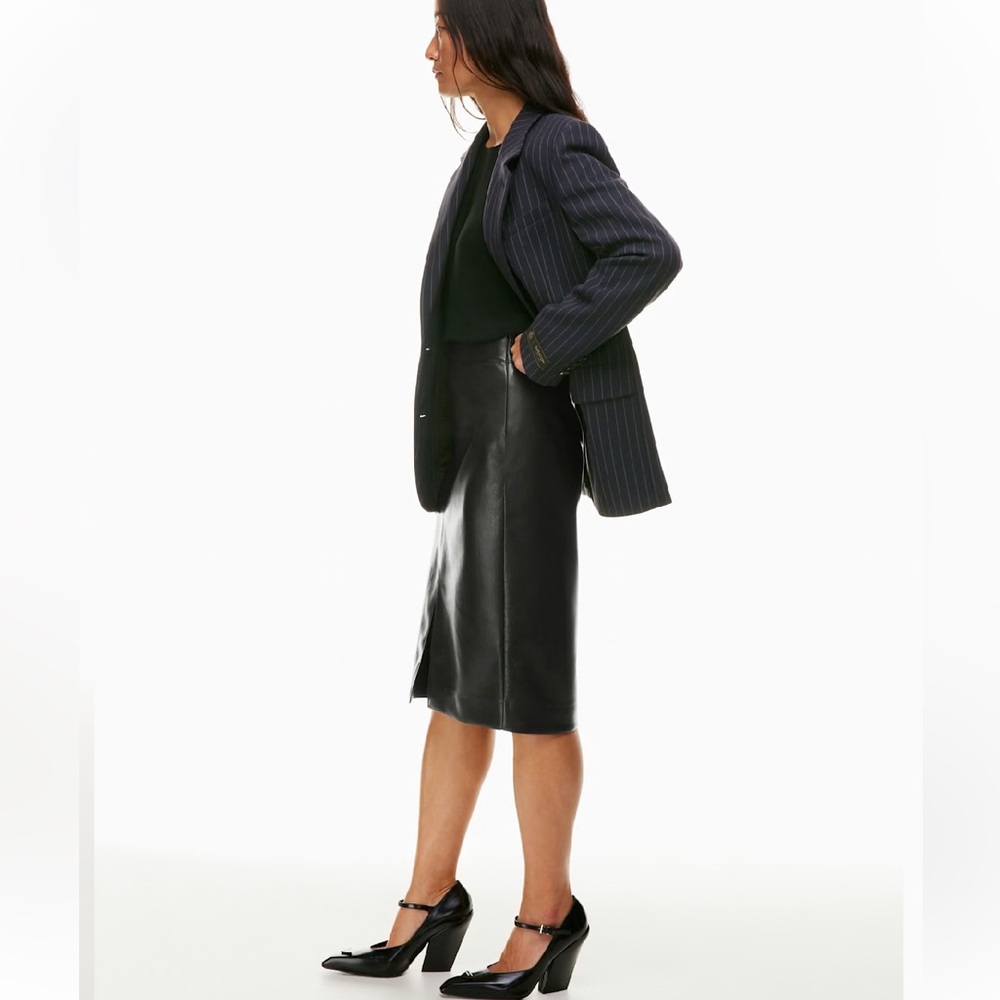 Babaton Pegu Skirt - Picture 3 of 9